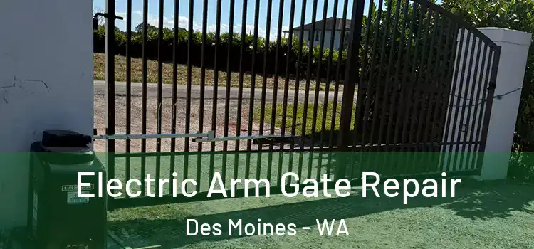 Electric Arm Gate Repair Des Moines - WA