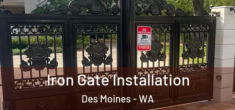 Iron Gate Installation Des Moines - WA
